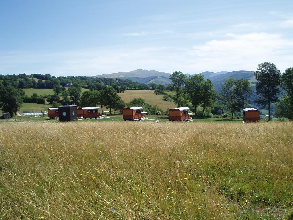 בית הארחה Saint-Martin-Valmeroux 	Domaine De La Chaux De Revel מראה חיצוני תמונה