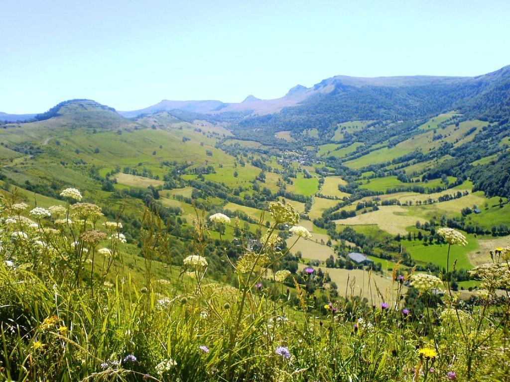 בית הארחה Saint-Martin-Valmeroux 	Domaine De La Chaux De Revel מראה חיצוני תמונה